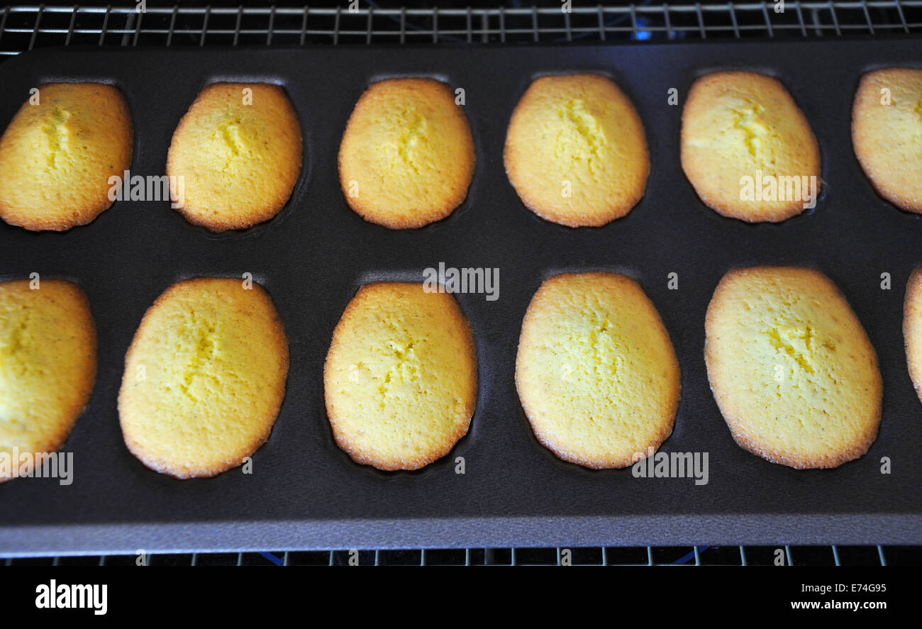 Madeleine cookies cookie madeleines baking baking tray form hires