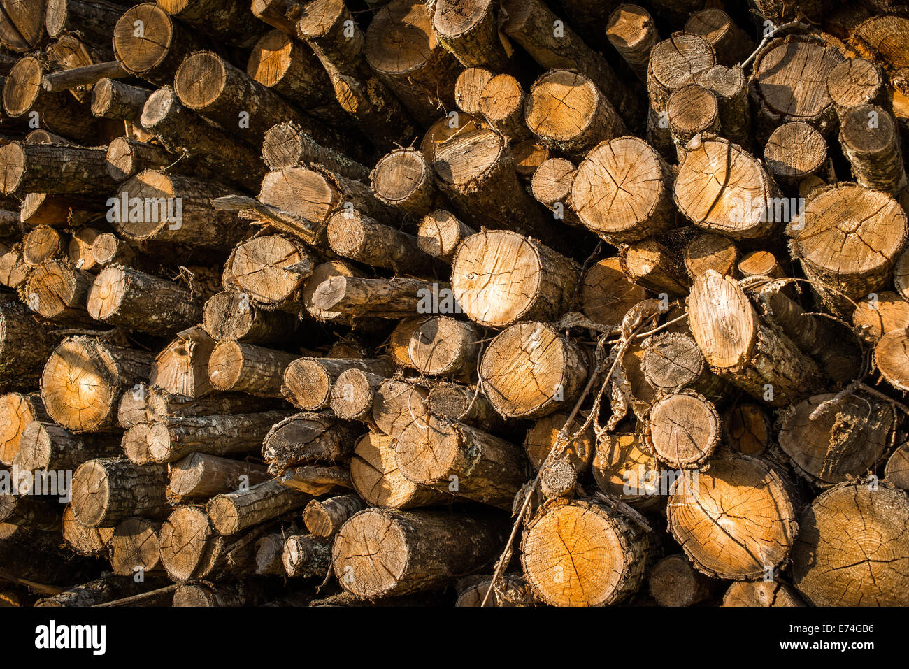 Pile of prepared firewood, France Stock Photo Alamy