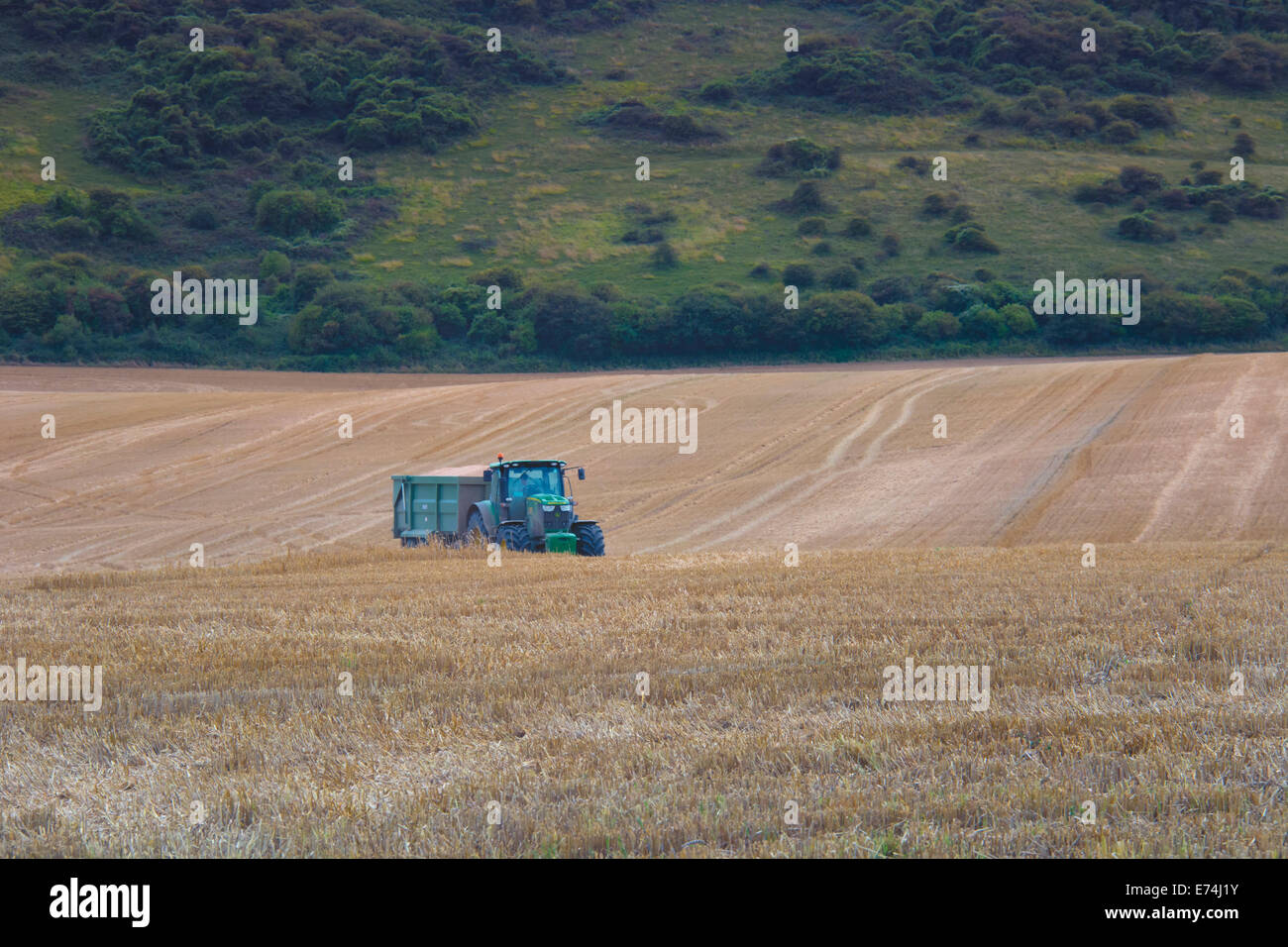 Harvest time in Southern England. Farmers working in the fields to