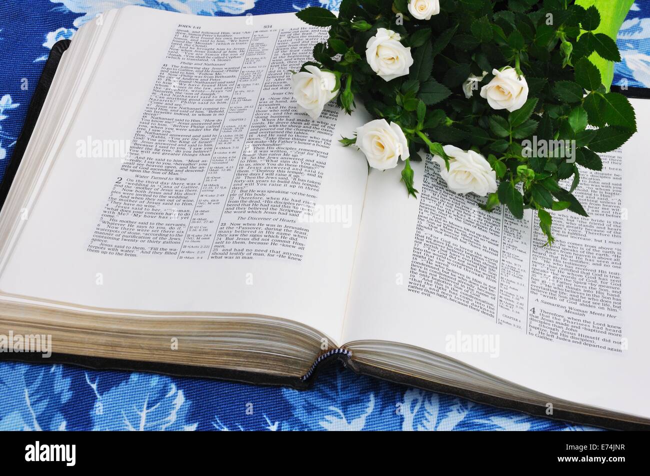 Open Bible and white roses Stock Photo Alamy