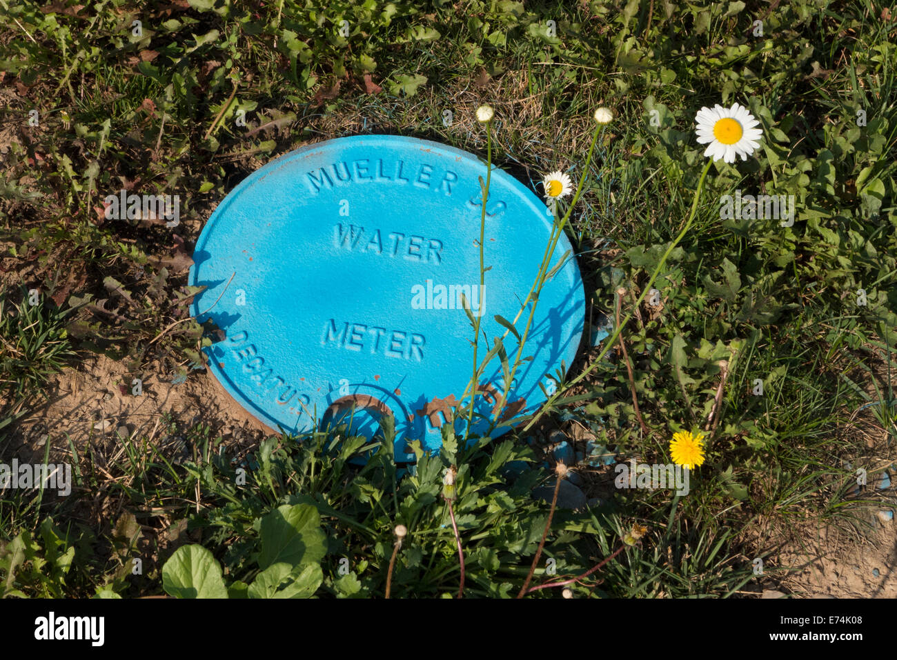 Water meter cover in ground Stock Photo Alamy