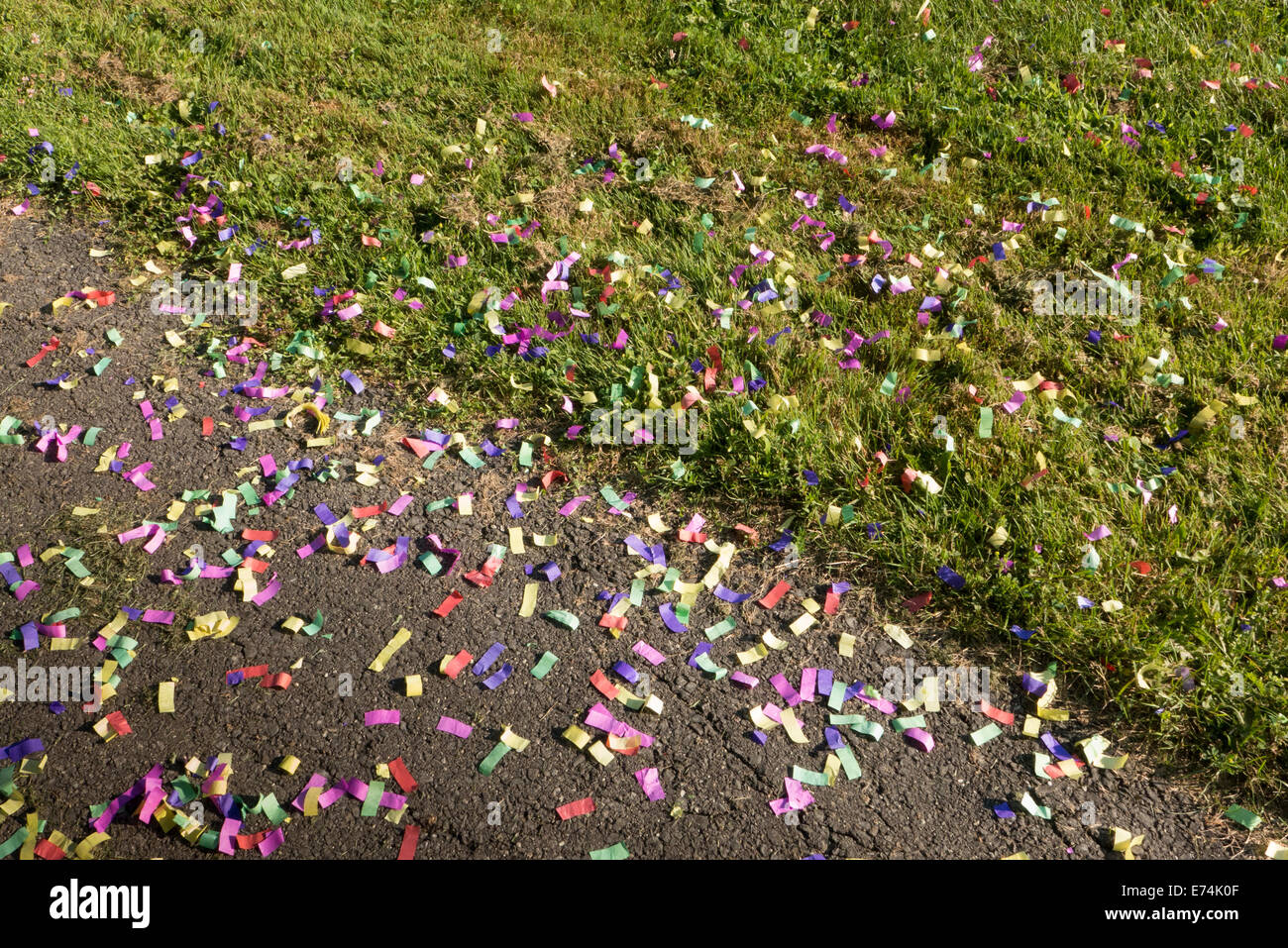 Colorful confetti on grass Stock Photo Alamy