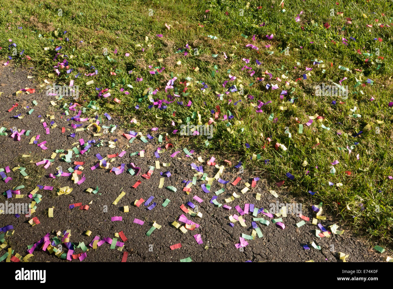 Colorful confetti on grass. Stock Photo