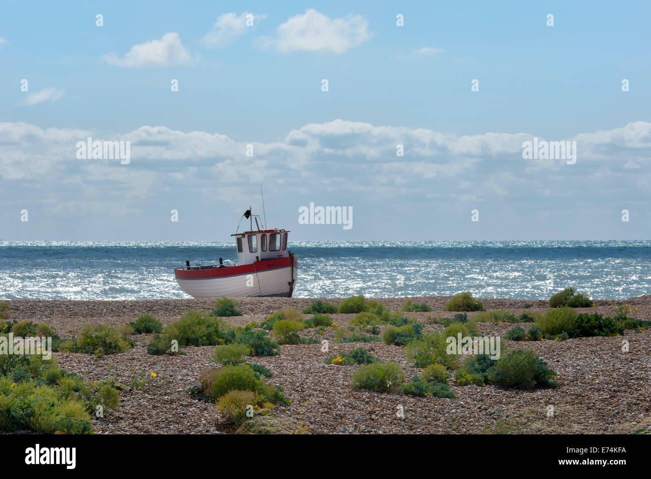 Fishing boats on the shingle beach on a sunny day at Dungeness in Kent ...