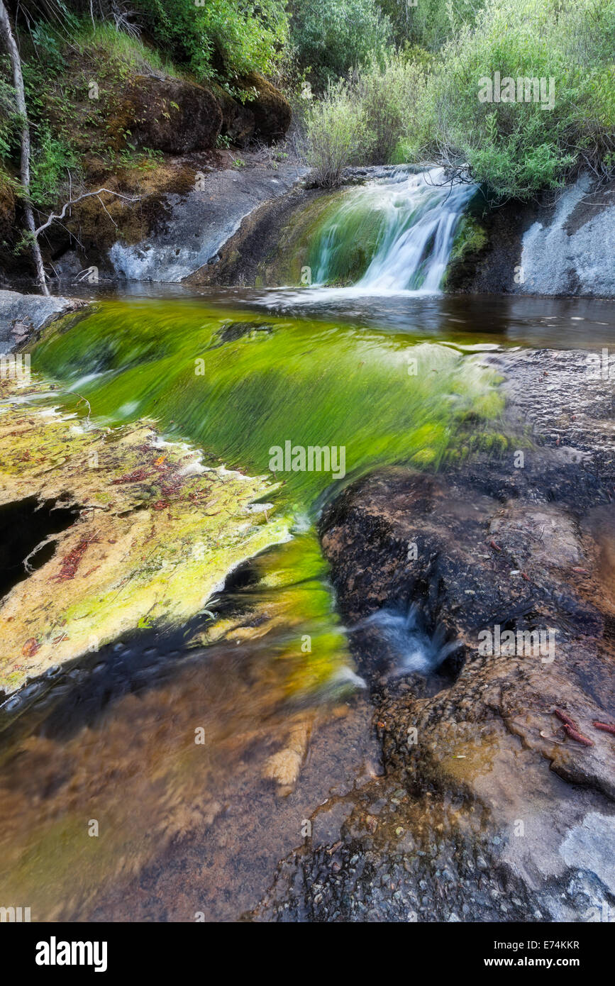 Top of Zim Zim Falls in Northern Napa County California Stock Photo Alamy