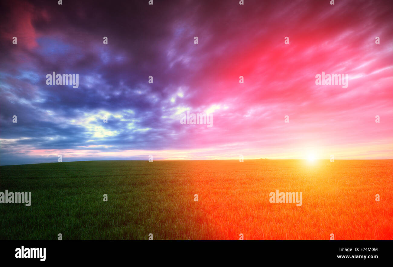 Sunset on green field with clouds Stock Photo