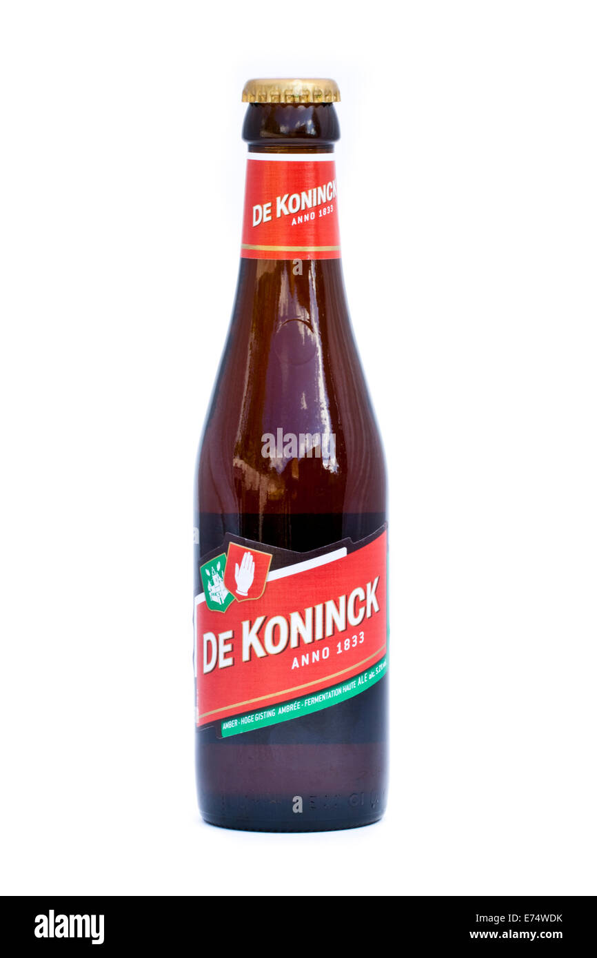 Bottle of "De Koninck" Belgian amber ale beer, the most popular local