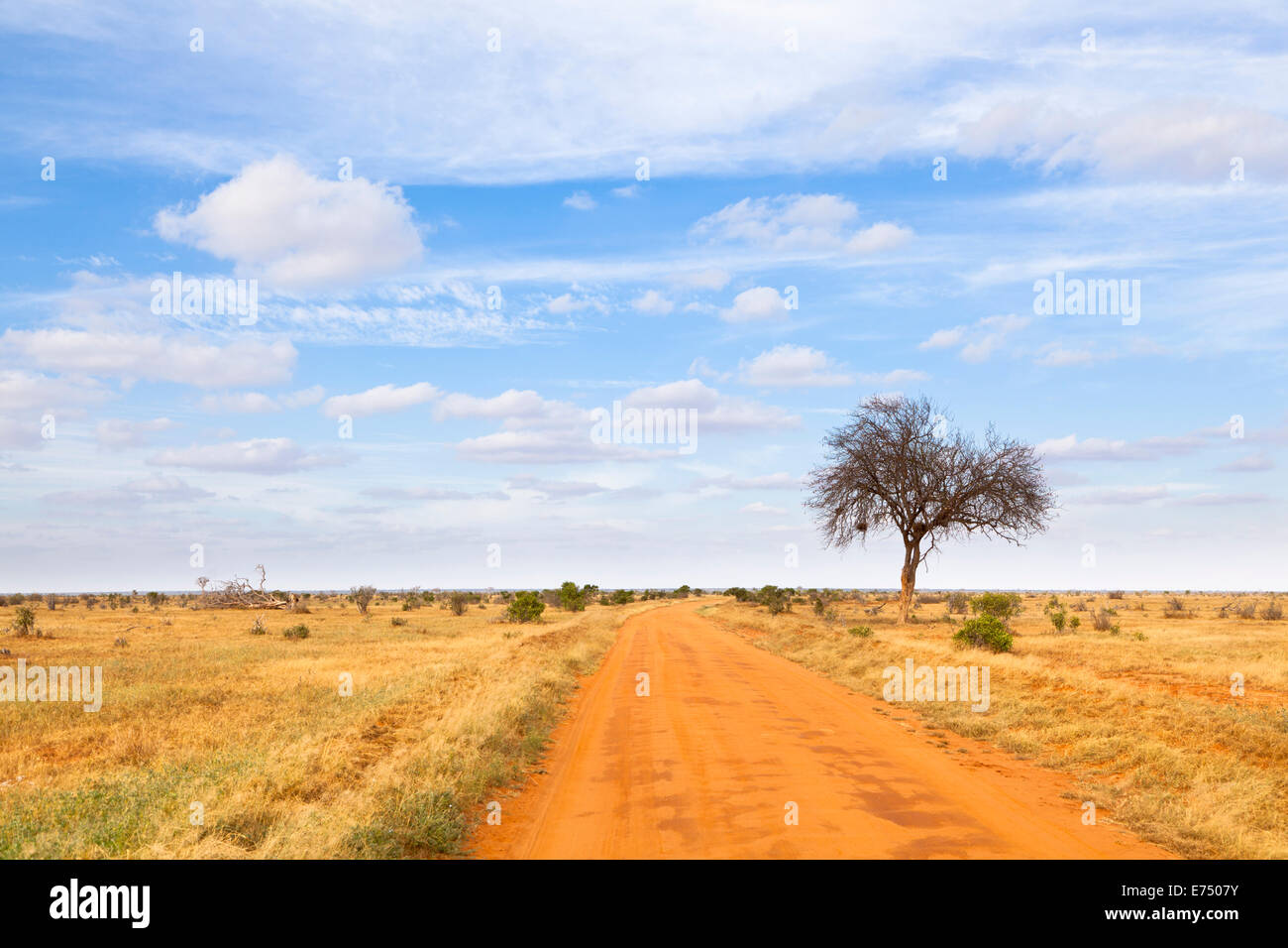 Landscape in Tsavo East National Park in Kenya. Stock Photo