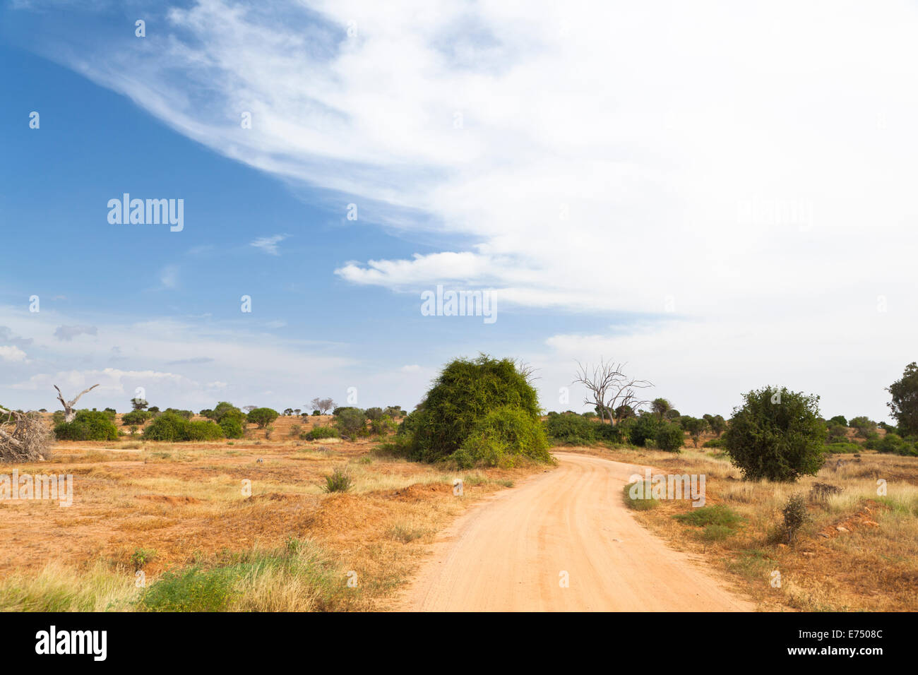 Dirt road through dry savanna landscape in Tsavo East National Park in Kenya. Stock Photo