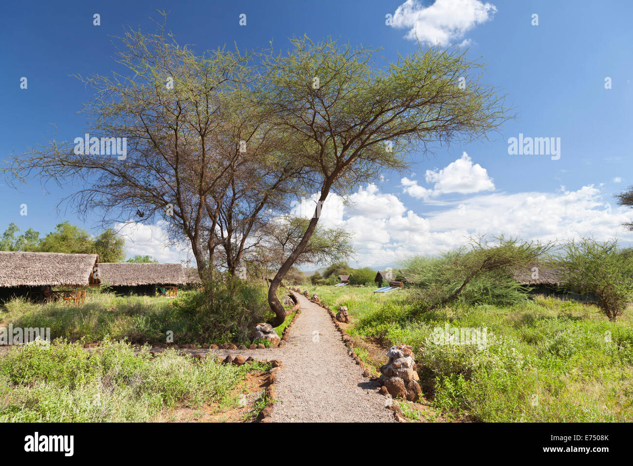 Kibo Safari Camp in Amboseli National Park in Kenya. Stock Photo