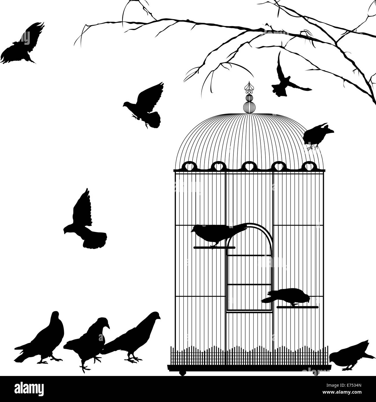 Birdcage and birds silhouettes over white background Stock Photo - Alamy