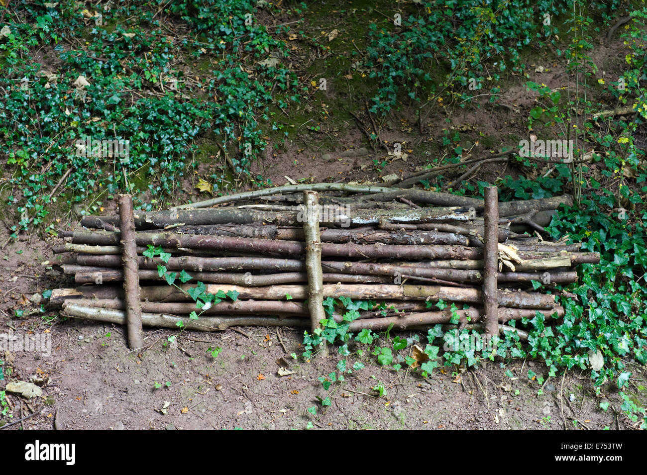 Log pile used as insect & small mammal habitat on Old Railway Footpath Hay-on-Wye Powys Wales UK Stock Photo
