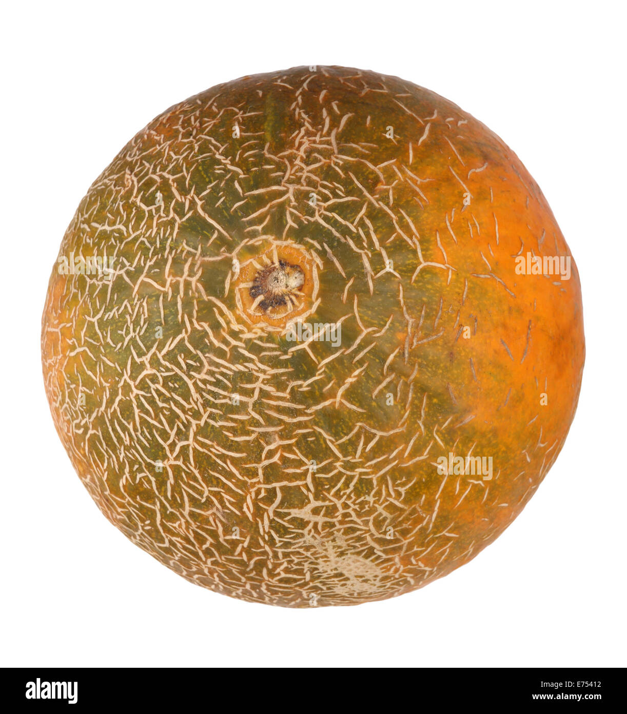 Melon Isolated Stock Photo