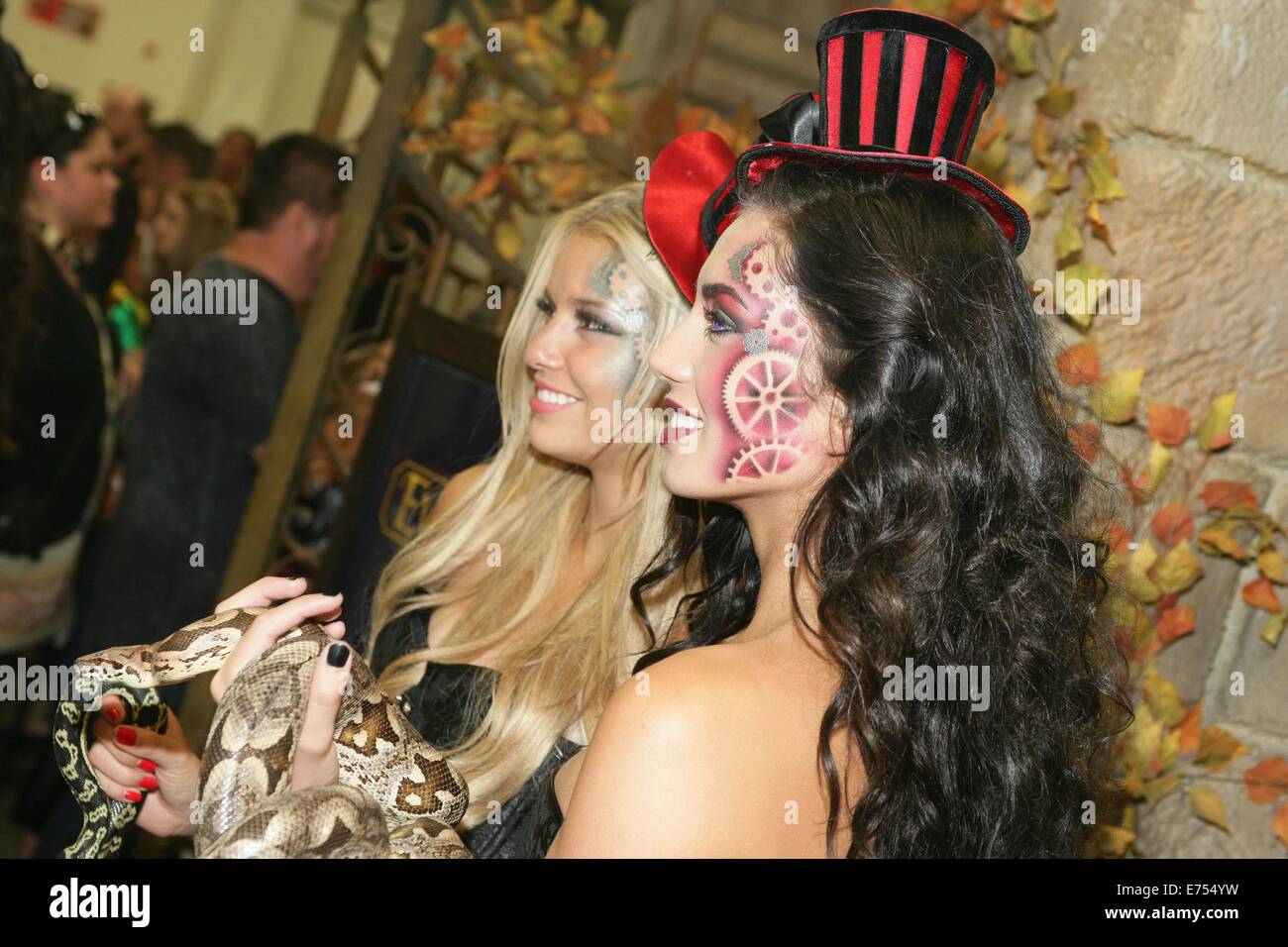 Evermore park hires stock photography and images Alamy