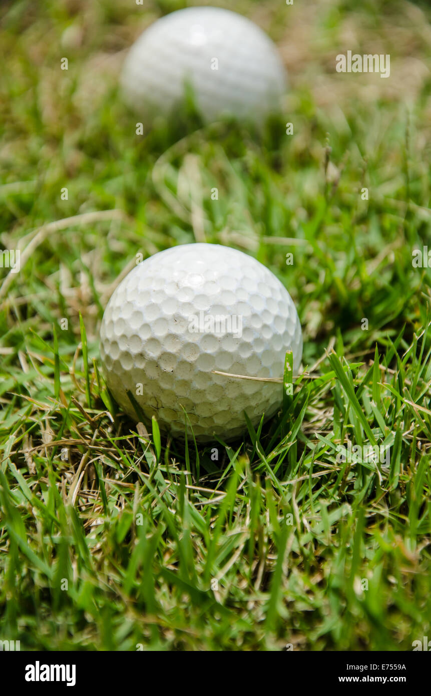 white golf ball on grass Stock Photo Alamy