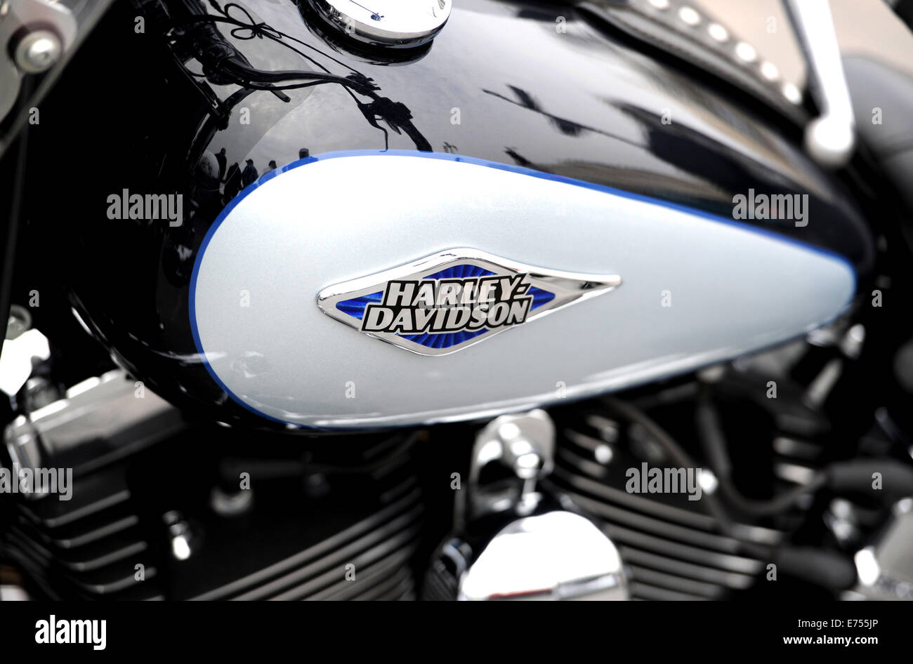 Harley davidson fuel tank hires stock photography and images Alamy