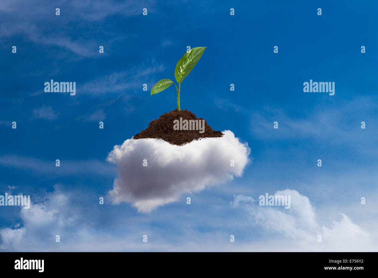 Green plant growing in soil of cloud on blue sky Stock Photo - Alamy