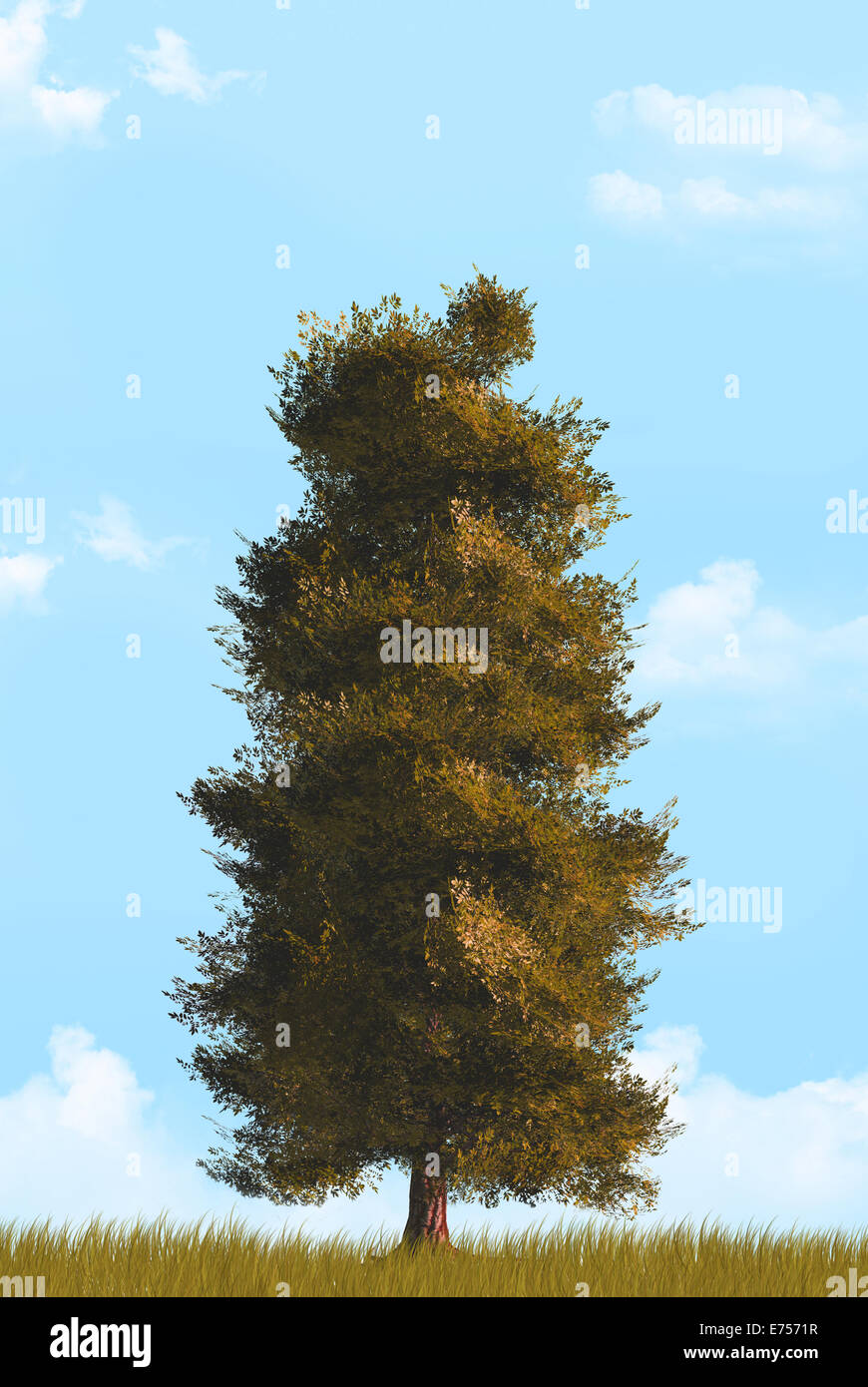 Tree in autumn season with cloudy background Stock Photo - Alamy