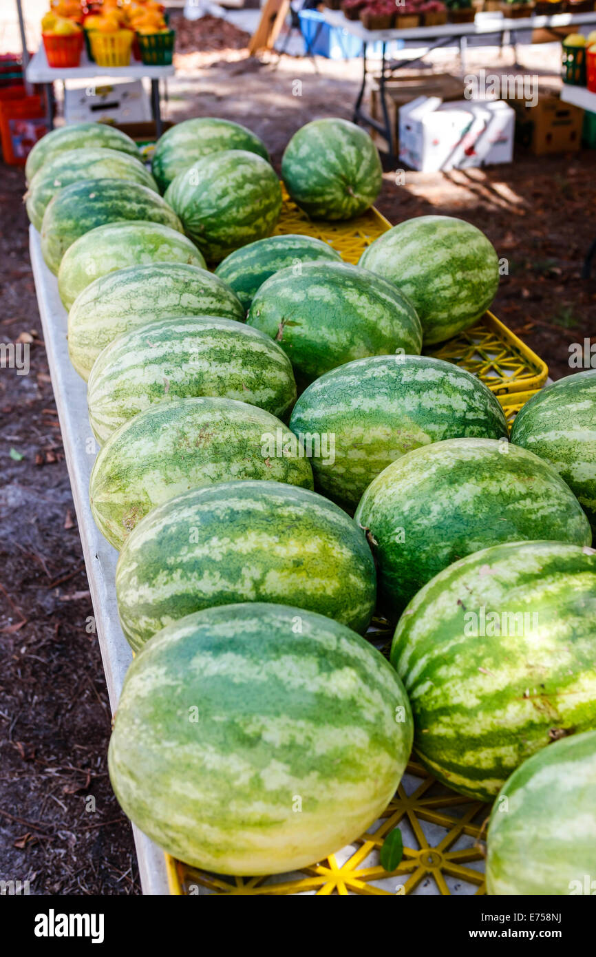 Watermelons on sale at a farmers market Stock Photo Alamy