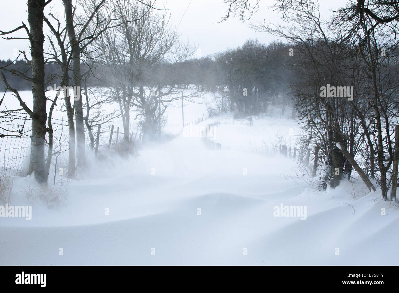 Snow in Kent, UK Stock Photo Alamy