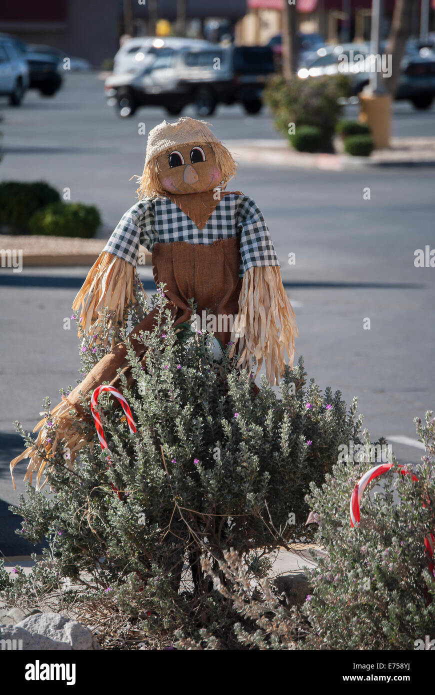 Scarecrow Outdoor Decoration Stock Photos Scarecrow Outdoor