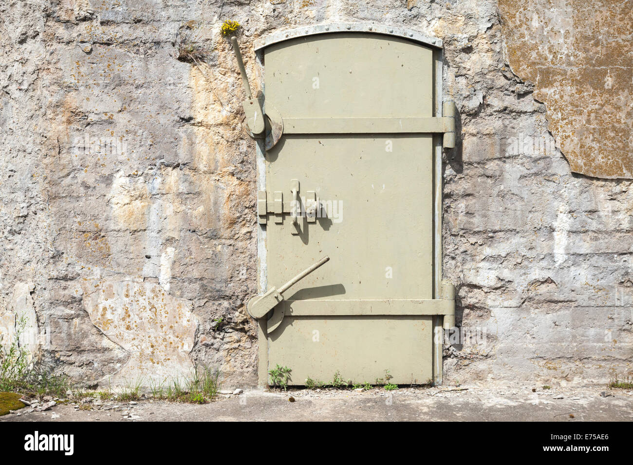 Green metal door in old fortification wall, background texture Stock Photo