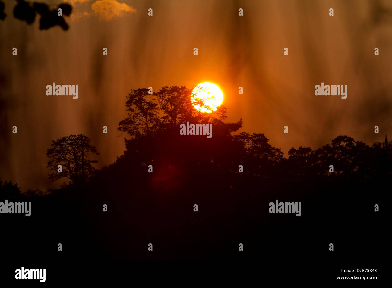 Wimbledon, London, UK. 7th  September 2014. UK Weather: A colorful sunset Credit:  amer ghazzal/Alamy Live News Stock Photo