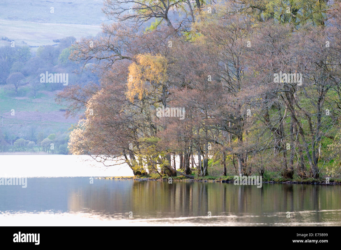 Shore line on Lake of Menteith Trossachs Stirling Scotland Stock Photo