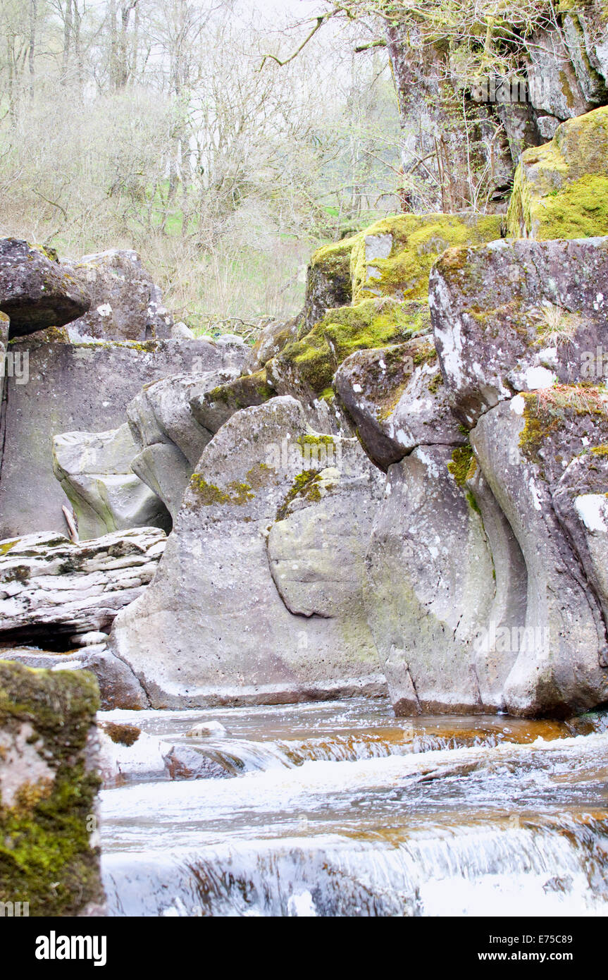 Rock pools, gentle falls, glacial erosion on tributary of River Forth Stirling Scotland Stock Photo
