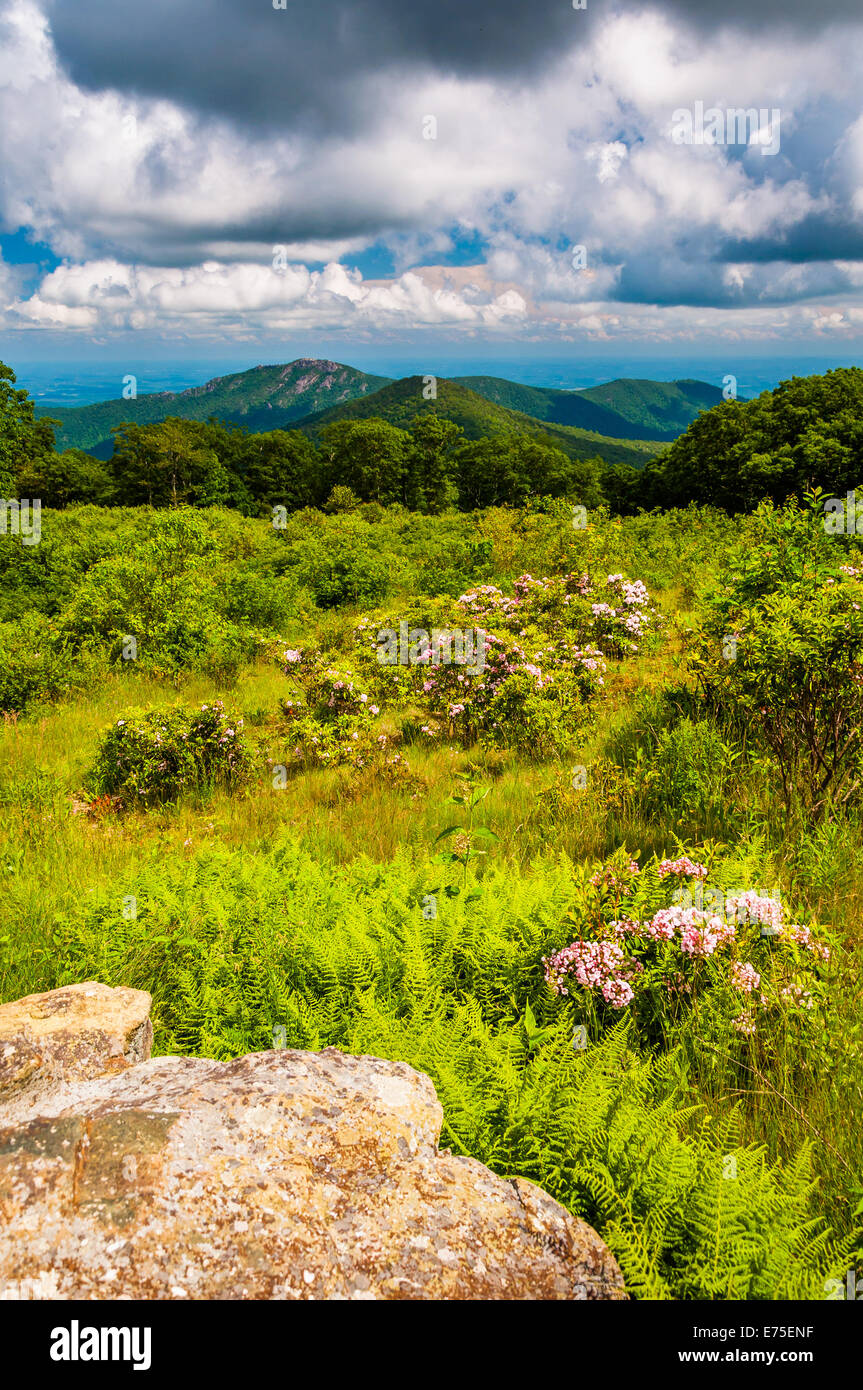 Boulder in a meadow and view of Old Rag Mountain at Thoroughfare ...