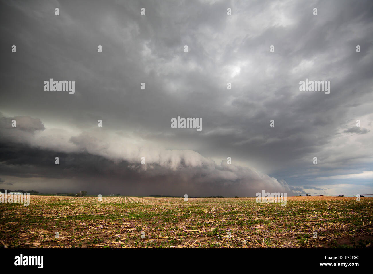 A shelf cloud above a farm field. Stock Photo