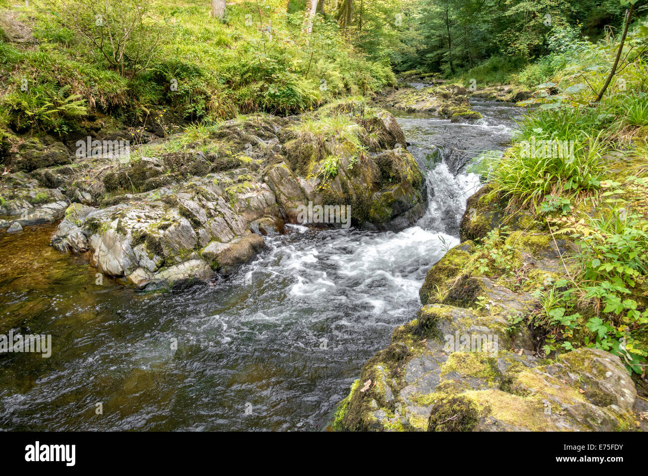 Watersmeet river in North Devon UK Stock Photo Alamy
