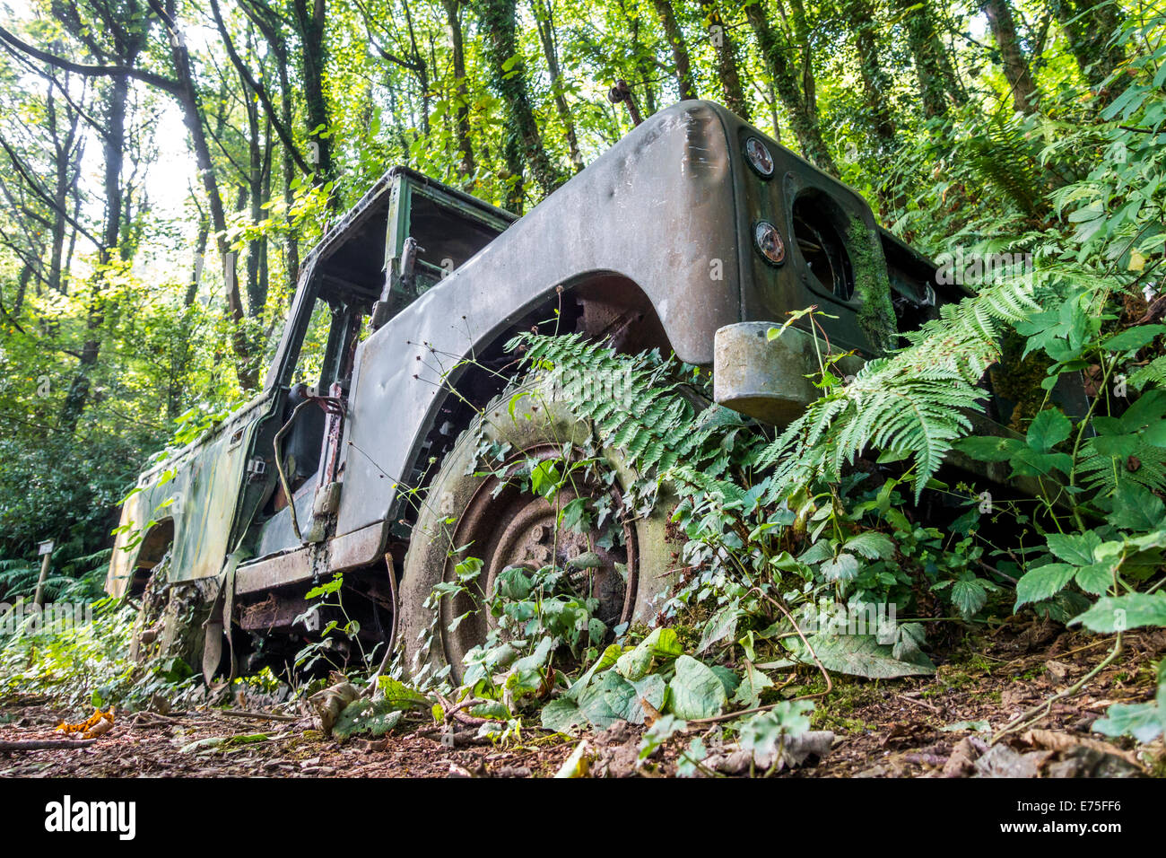 Abandoned Land Rover car overgrown with plants and weeds on a forest track Stock Photo