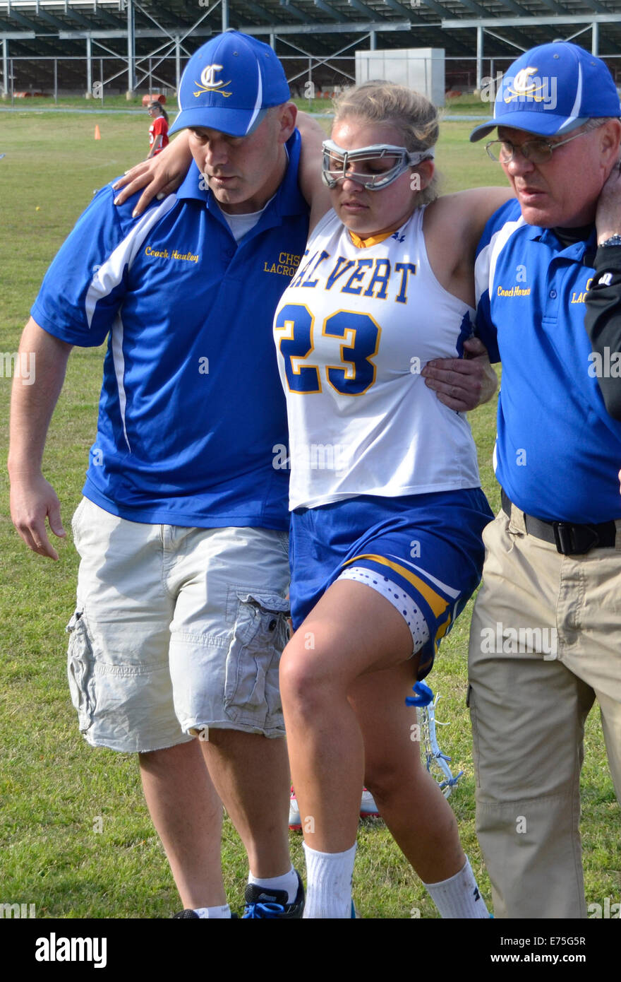 officials assist an injured female lacrosse player off the field  during a lacrosse game Stock Photo