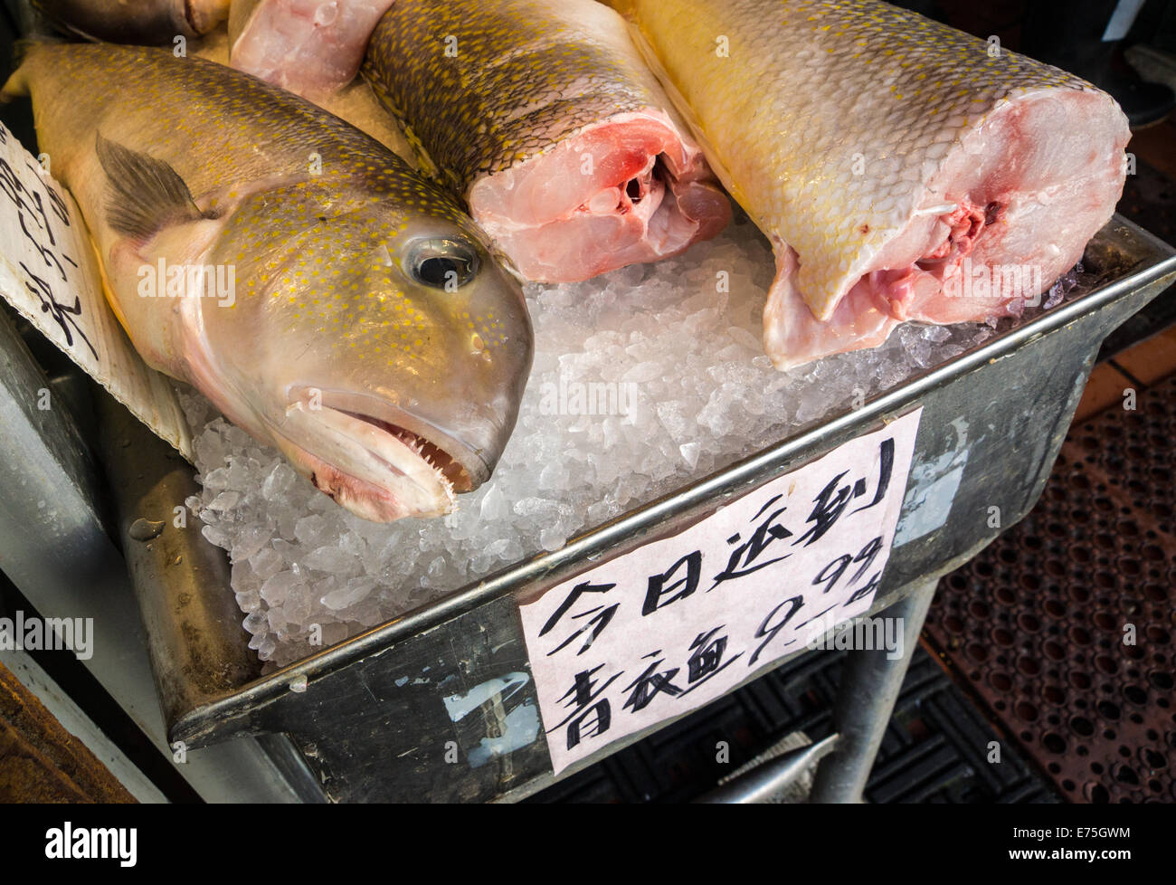 Fresh fish for sale in San Francisco's Chinatown Stock Photo - Alamy