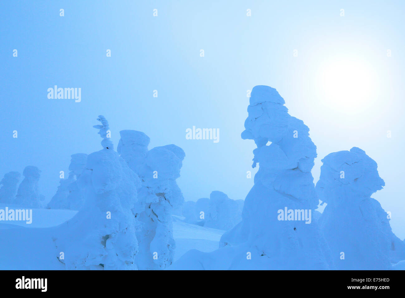 Zaou High Resolution Stock Photography and Images - Alamy