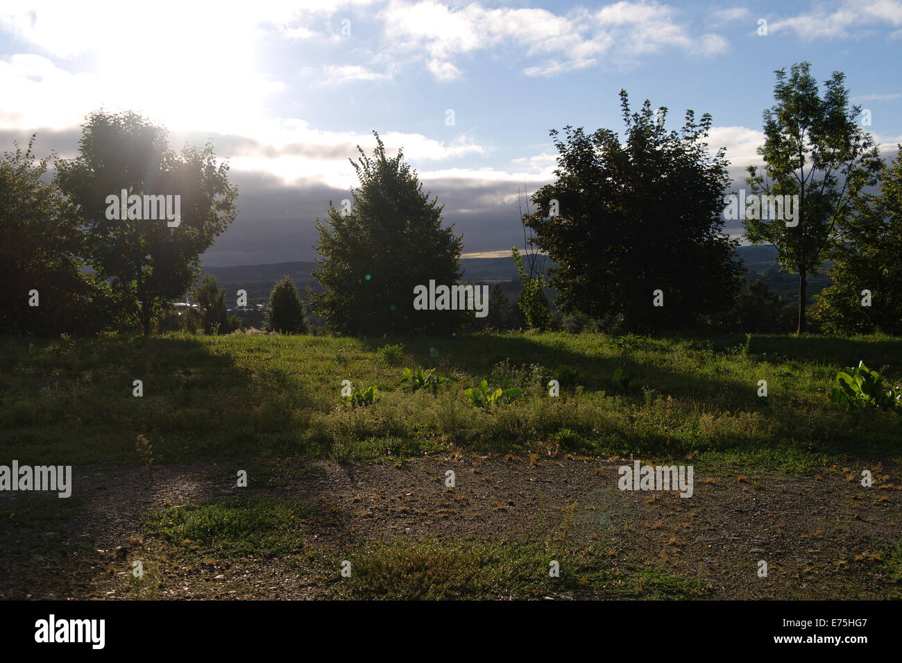 Bush sunrise with silhouette hi-res stock photography and images - Alamy