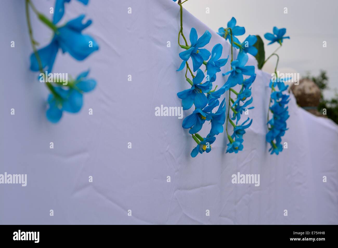 Blue hanging flowers hires stock photography and images Alamy