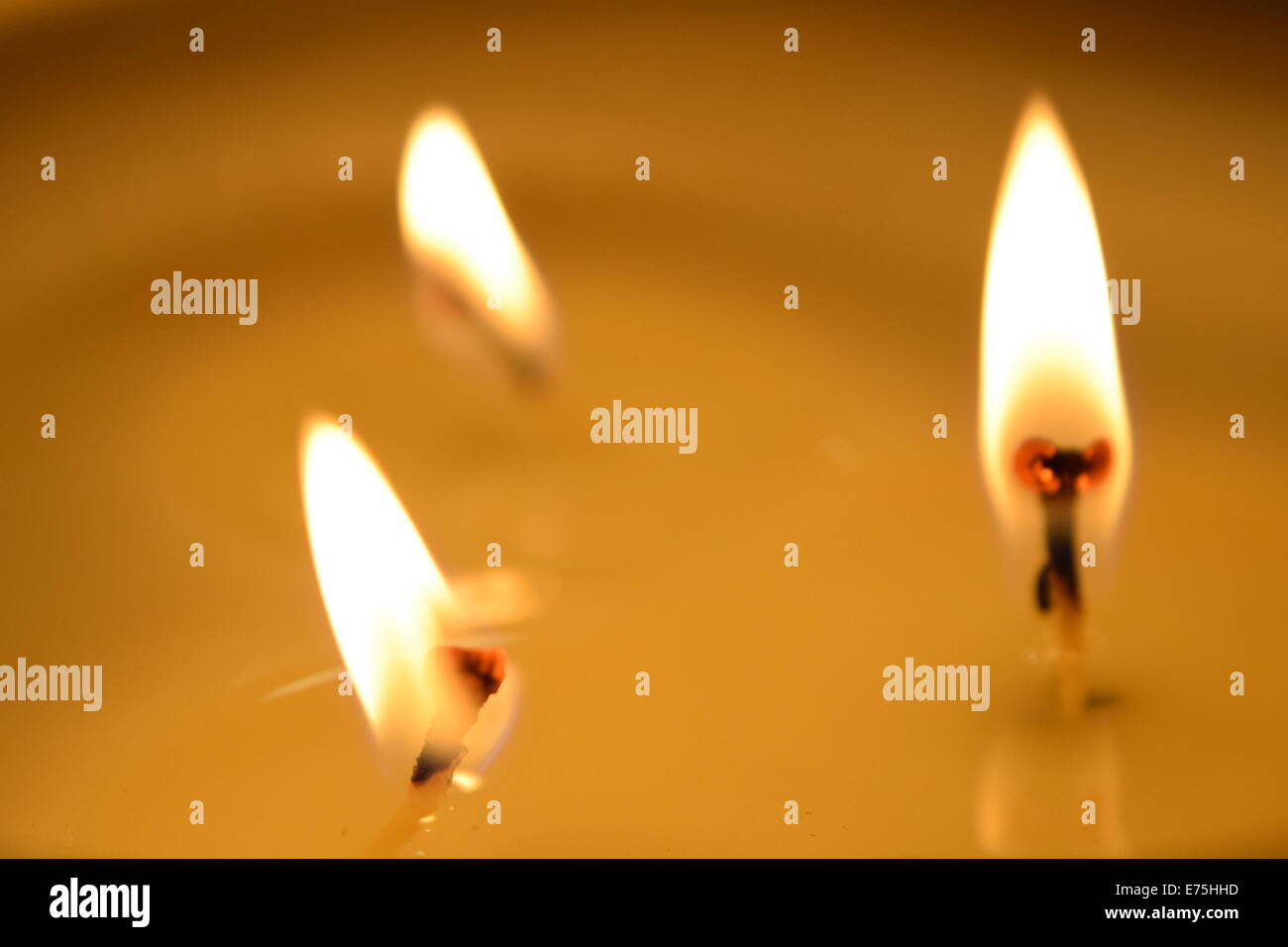 Burning candle flames standing in melted wax Stock Photo Alamy