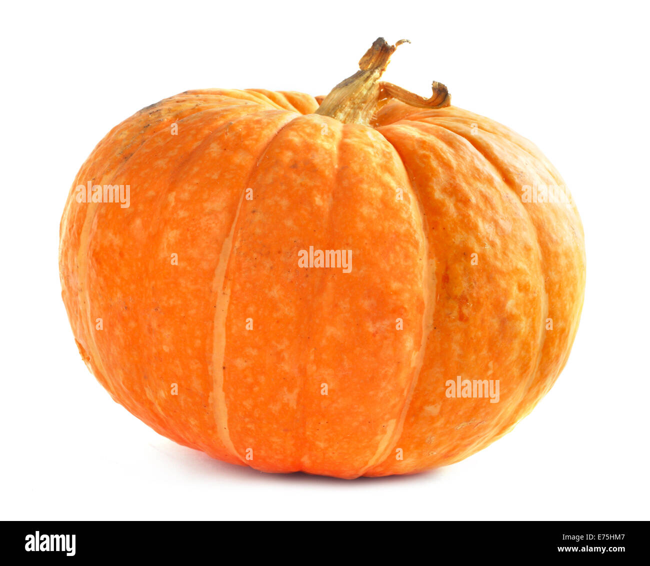 One orange pumpkin isolated on white background Stock Photo - Alamy