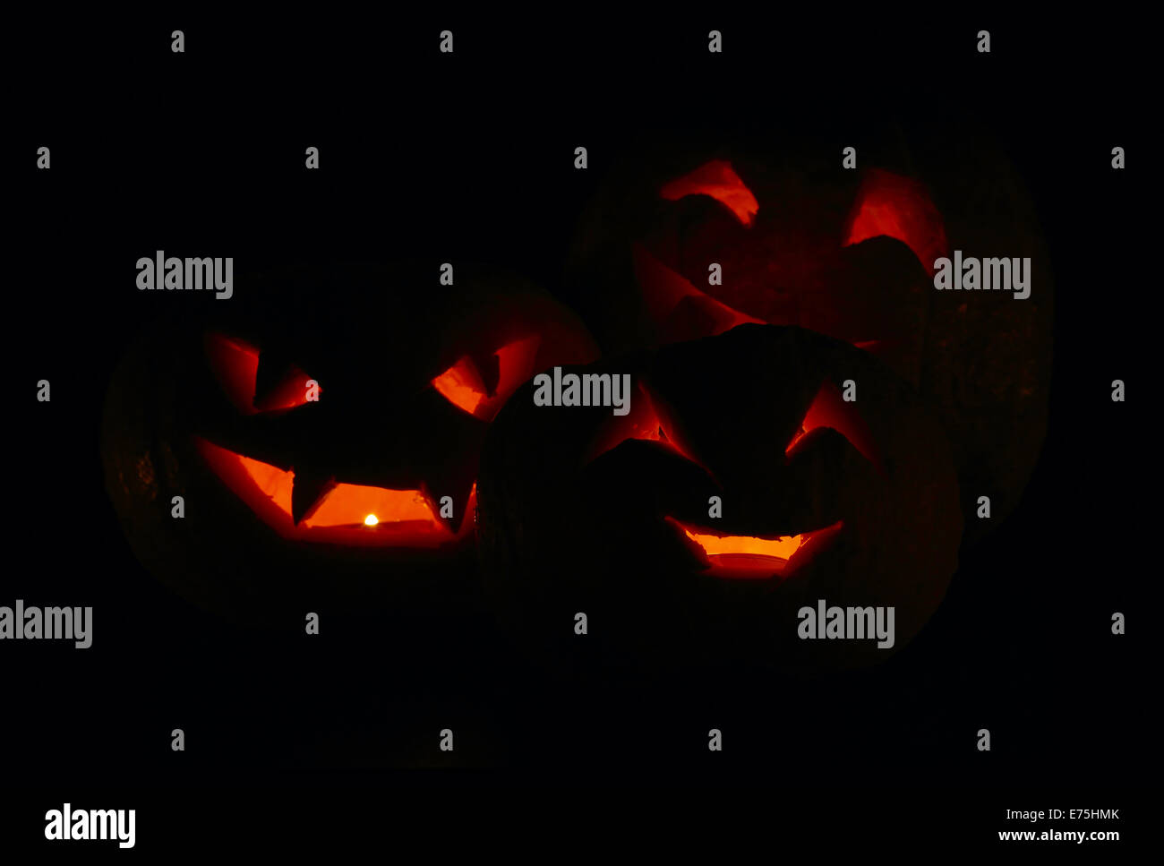 Illuminated cute halloween pumpkins isolated on black background Stock ...