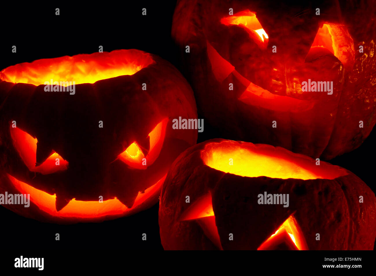 Illuminated cute halloween pumpkins isolated on black background Stock ...