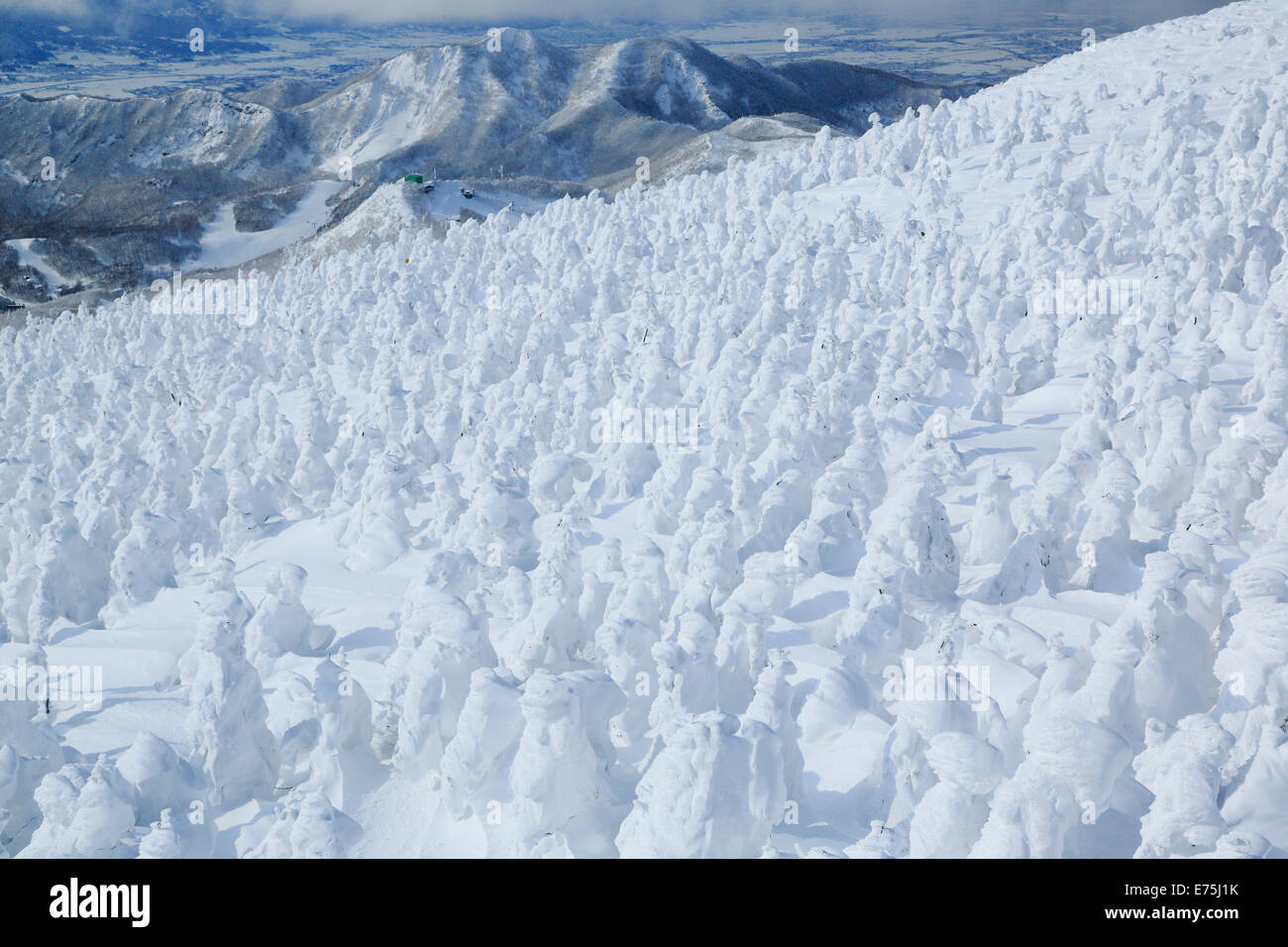 Zaou High Resolution Stock Photography and Images - Alamy