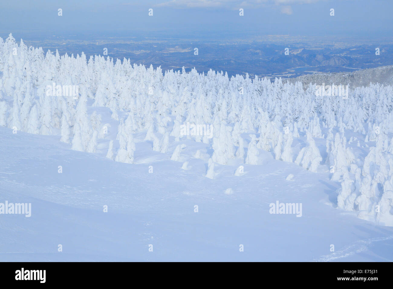 Zaou High Resolution Stock Photography and Images - Alamy