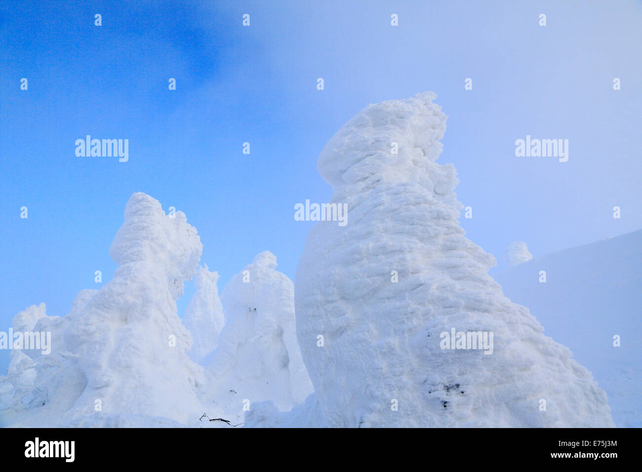 Zaou High Resolution Stock Photography and Images - Alamy