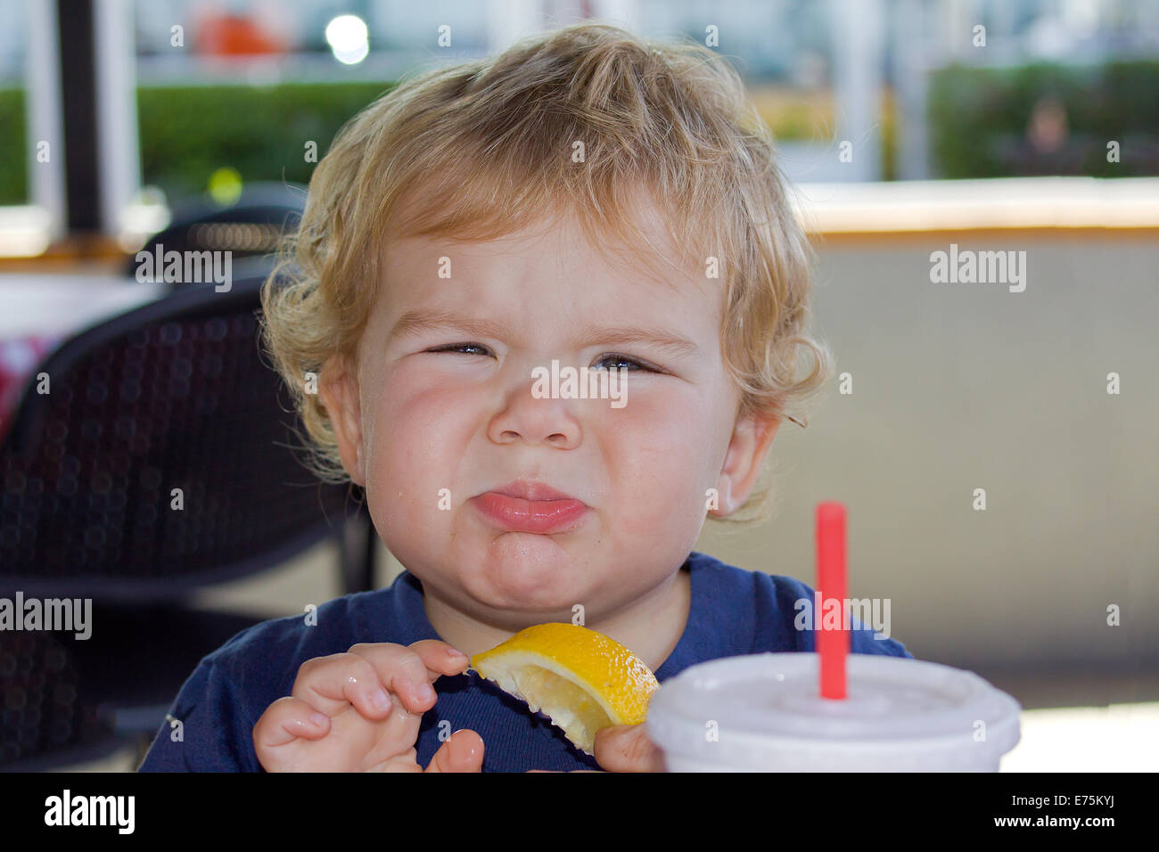 Sourpuss- Little boy trying out a lemon for the first time. Stock Photo