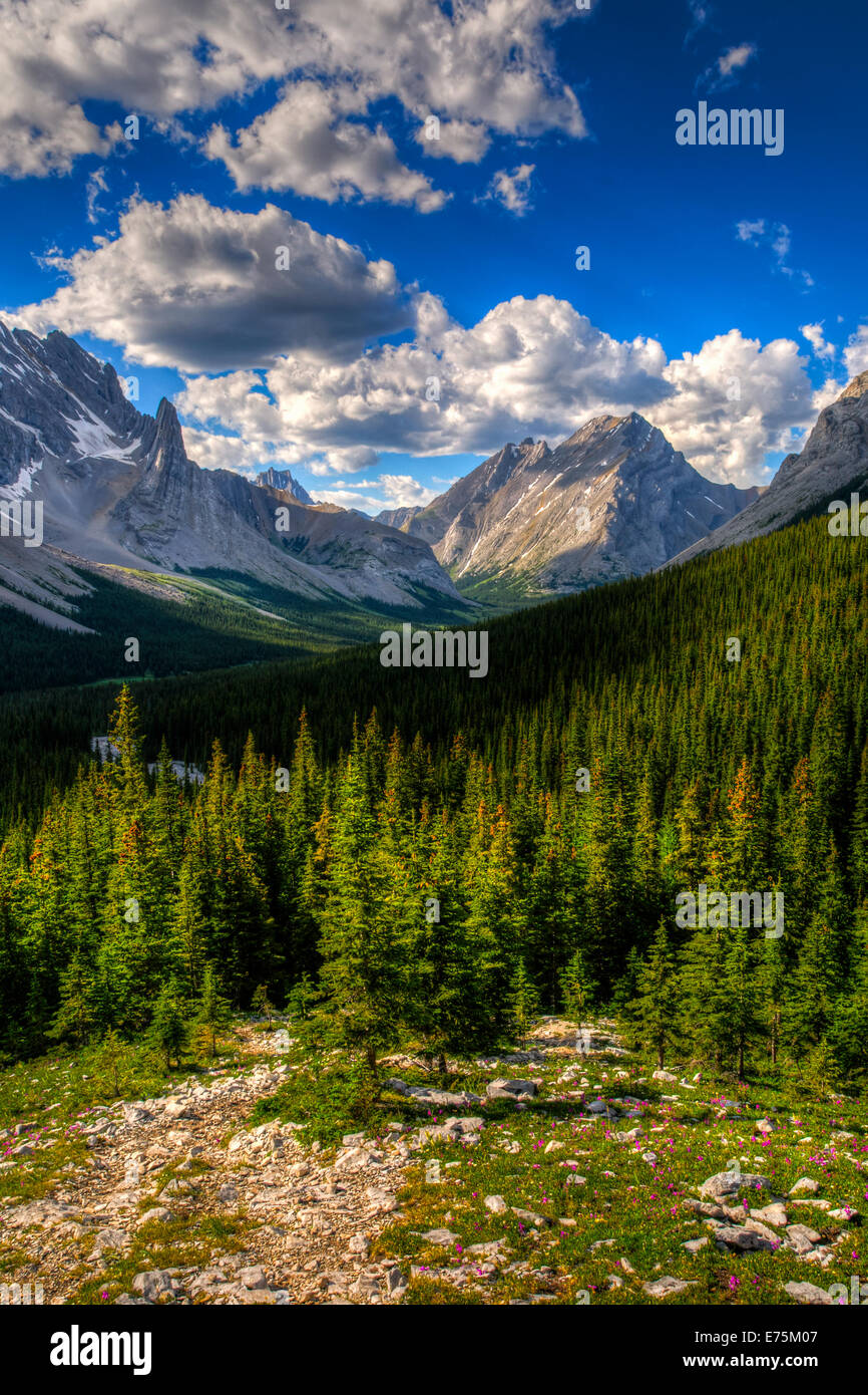 Mt Rae Scenic mountain hiking views, Rae Glacier and Elbow Lake area, Peter ...
