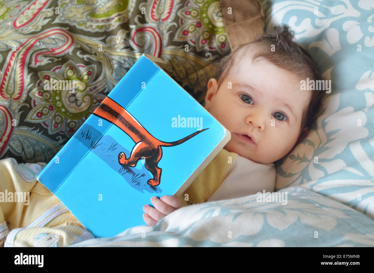 babies at 3 months of age