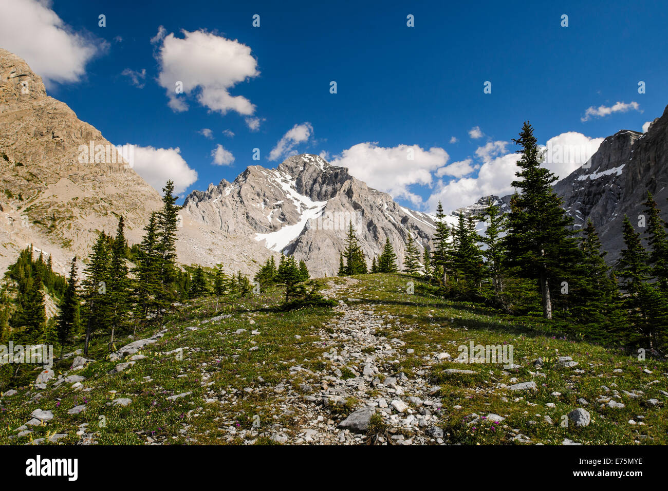 Mt Rae Scenic mountain hiking views, Rae Glacier and Elbow Lake area, Peter ...
