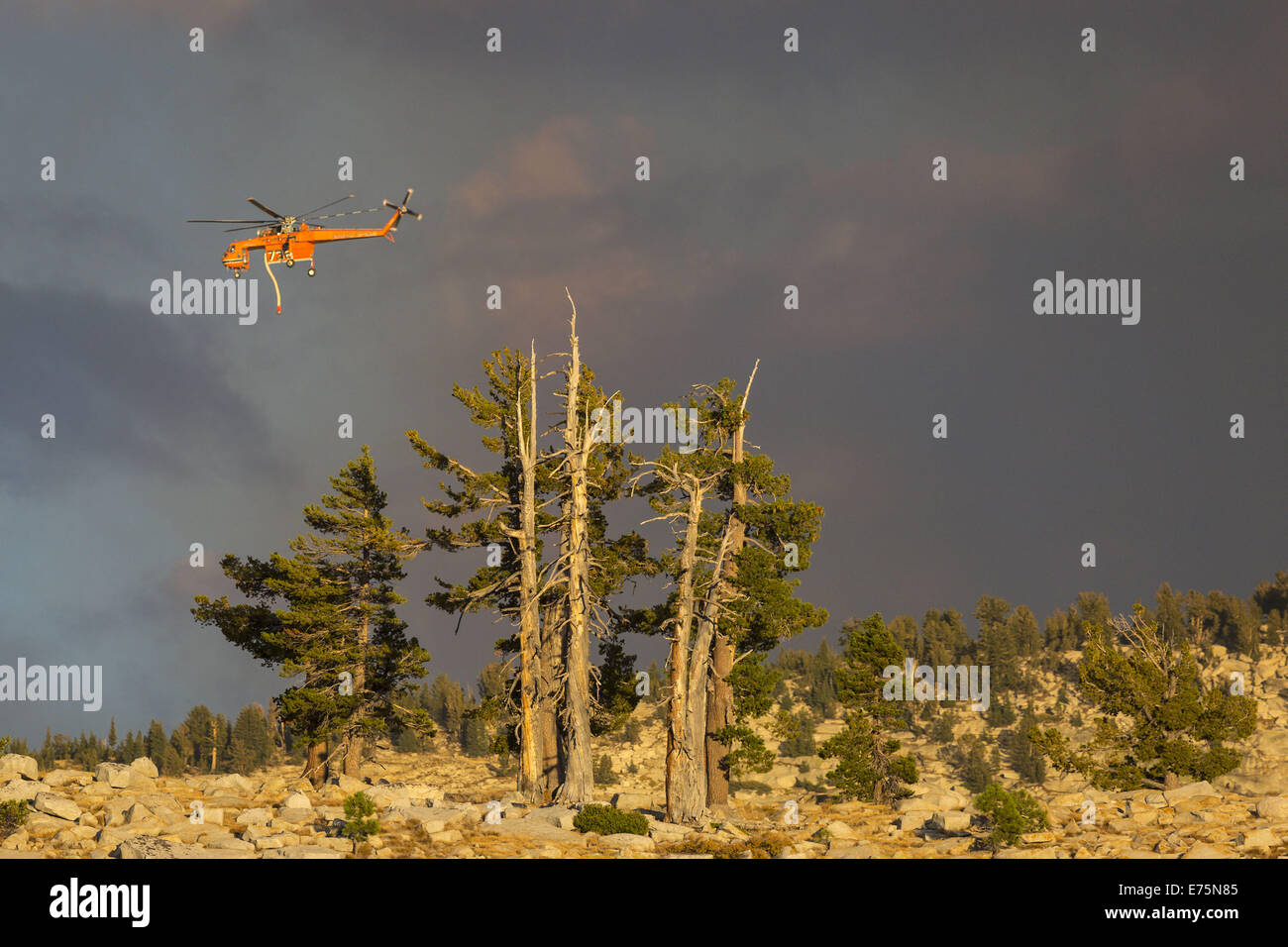 Yosemite National Park, California, USA. 7th Sep, 2014. September 7, 2014.An Aircrane helicopter, used to battle the Meadow Fire in Yosemite National Park, is seen from the Olmsted Point area along Tioga Pass Road/Highway 120. The wildfire is located east of Little Yosemite Valley and is approximately 700 acres. Approximately 100 people were evacuated by helicopter from the areas around Half Dome and Little Yosemite Valley. Credit:  Tracy Barbutes/ZUMA Wire/Alamy Live News Stock Photo